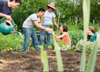 Mobil rehabilita áreas comunitarias en San José Chapulco