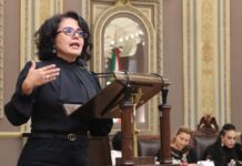 Proponen en el Congreso que entidades paraestatales sesionen virtualmente
