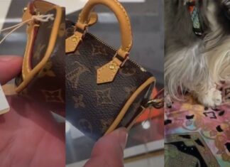 Louis Vuitton lanza bolso de lujo para recoger heces de perro