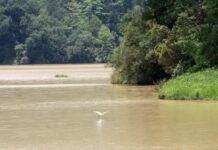 Presa de Huauchinango al 100% y Valsequillo al 47%, señala Medio Ambiente