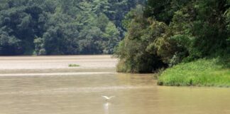 Presa de Huauchinango al 100% y Valsequillo al 47%, señala Medio Ambiente