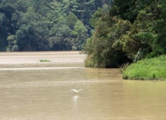 Presa de Huauchinango al 100% y Valsequillo al 47%, señala Medio Ambiente