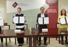 Fortalece gobierno estatal acciones de prevención en violencia de género en San Andrés