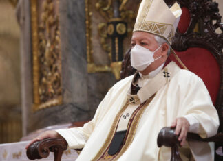 Arzobispo pide por eterno descanso de niño que murió por caída de árbol arzobispo