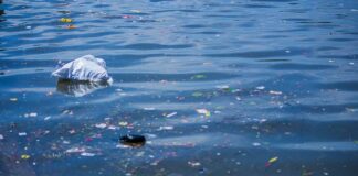 Atoyac: Universidades invitan a foro sobre contaminación Atoyac