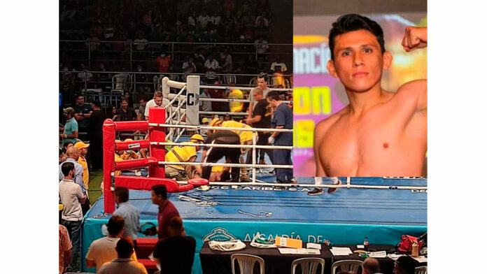 boxeador