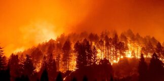 California reporta 4 muertos y miles de desplazados por incendios forestales California