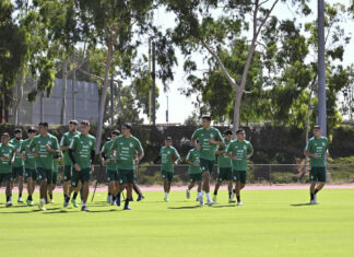 Solo 3 delanteros irán a Qatar con México: Martino delanteros