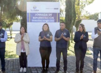 Encabeza Mundo Tlatehui jornada de reforestación en San Andrés Cholula