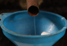 Anuncian Expo Mezcal Orgullo Puebla del 9 al 11 de septiembre mezcal