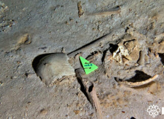 Obras del Tren Maya no afectarán vestigios hallados en cenote cercano: INAH obras