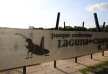 Ayuntamiento rehabilitará Laguna de Chapulco con 12 mdp Ayuntamiento