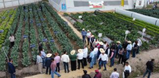 Inicia la Expo Hortícola Puebla BUAP 2022 BUAP