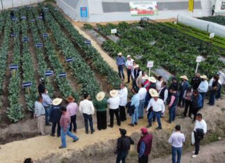 Inicia la Expo Hortícola Puebla BUAP 2022 BUAP