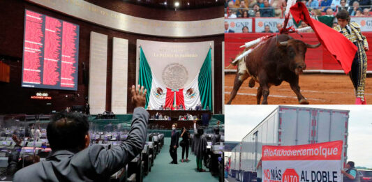 Cámara de Diputados