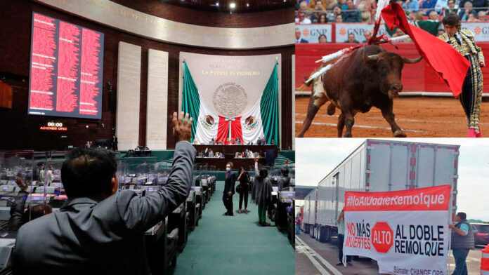Cámara de Diputados