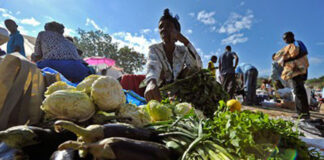 Zonas de Haití registran niveles “catastróficos” de hambre, alerta ONU Haití