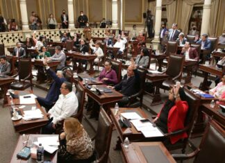 Ley de Movilidad y Seguridad Vial de Puebla estará lista este año Ley