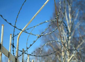 Luz María permitió que su pareja violara a su hija; irá a prisión Luz María