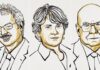 Nobel de Química a pioneros de combinación molecular Nobel
