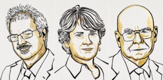 Nobel de Química a pioneros de combinación molecular Nobel