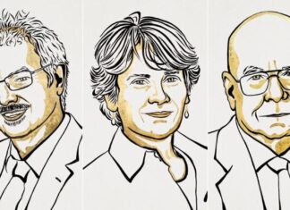 Nobel de Química a pioneros de combinación molecular Nobel