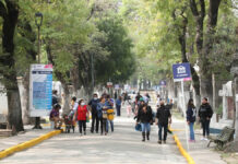 Panteón Municipal recibirá 180 mil visitas por Día de Muertos Panteón