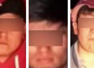Policía Estatal detiene a 4 presuntos talamontes en Chignahuapan Policía-Estatal