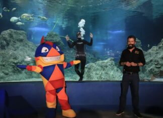 Acuario Michin presentará función “Una Voz por el Océano”
