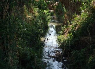 Conagua investiga contaminación al río Rabanillo en Cholula