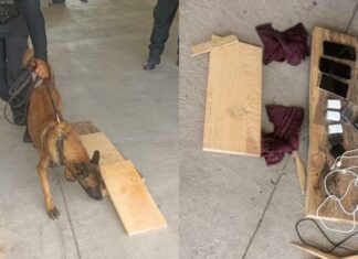 Oficial canino impide ingreso de celulares escondidos a Cereso de Tepexi