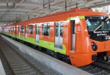 ¡Heroicos! Policías rescatan a abuelita que cayó a vías del Metro en CDMX Policías