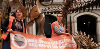 Ambientalistas alemanas protestan en museo y se pegan a dinosaurio ambientalistas