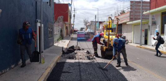 baches