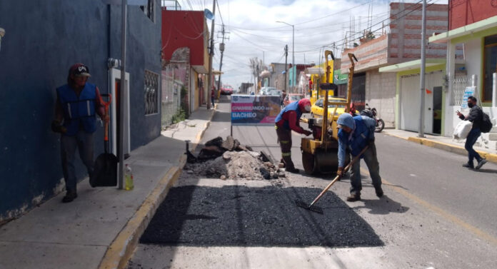 baches