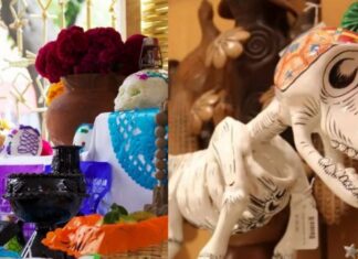 Ofrenda para mascotas, la nueva tradición de día de muertos día de muertos