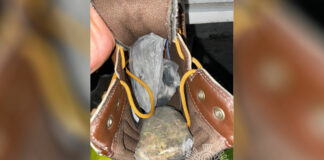 Binomio canino detecta droga a reo de San Miguel Droga