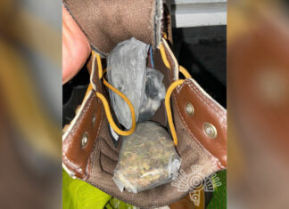 Binomio canino detecta droga a reo de San Miguel Droga