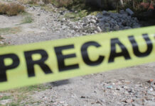 Texmelucan: Encuentran perro con un feto en el hocico Feto