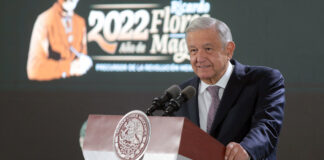 ‘La guacamaya se volvió zopilote’: AMLO sobre filtraciones de la Sedena guacamaya
