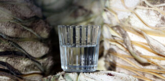 Mezcaleros poblanos esperan luz verde para vender en el extranjero mezcal