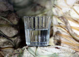 Mezcal poblano llega a mercado de Colombia mezcal