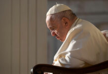 Papa Francisco se molesta por mujer que le pide bendecir a su “perrhijo” papa