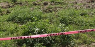 Restos humanos son hallados en predio de Totimehuacán restos