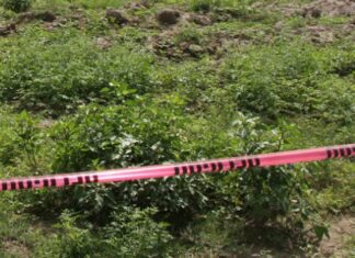 Restos humanos son hallados en predio de Totimehuacán restos