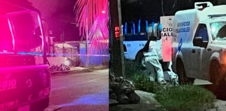 Hallan restos de mujer con signos de canibalismo en Cancún restos de mujer