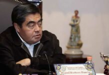 Irregularidades en plataforma AUDI alcanzan a exmorenovallistas: MBH Audi