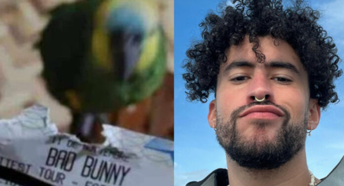 Loro