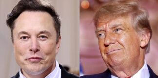 Musk restablece cuenta de Trump en Twitter tras veto en 2021 Musk