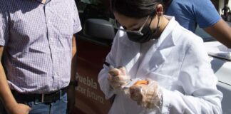 SMT: 28 choferes de transporte público, positivos a drogas smt